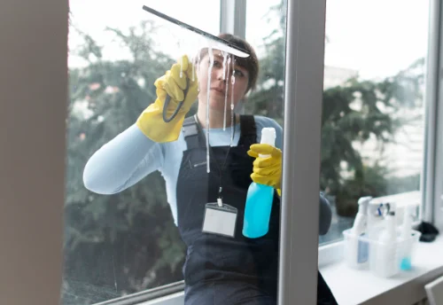Nettoyage de vitres intérieures et extérieures à Poisieux